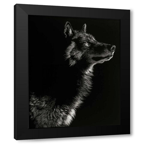 Scratchboard Wolf II Black Modern Wood Framed Art Print by Chapman, Julie T.
