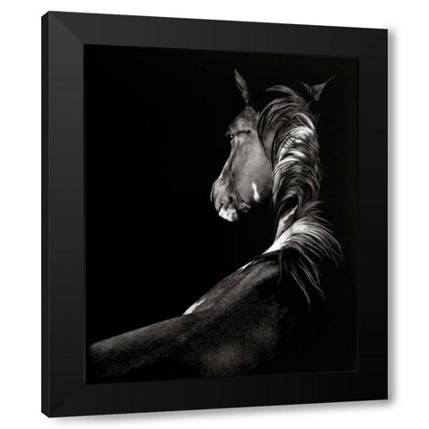 Scratchboard Sunstruck Black Modern Wood Framed Art Print by Chapman, Julie T.