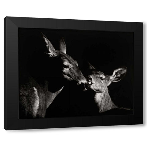 Scratchboard Mother Love #2 Black Modern Wood Framed Art Print by Chapman, Julie T.