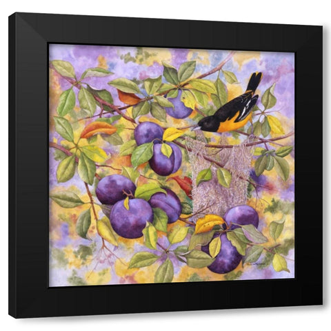 Oriole and Plums Black Modern Wood Framed Art Print with Double Matting by Matcham, Marcia
