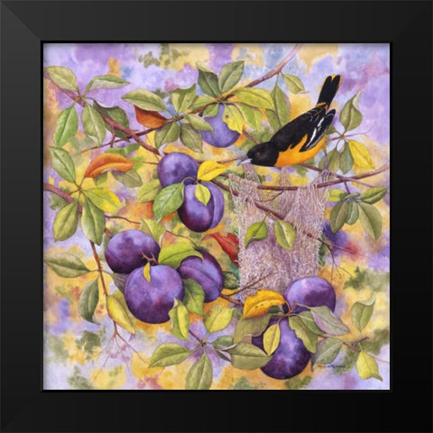 Oriole and Plums Black Modern Wood Framed Art Print by Matcham, Marcia