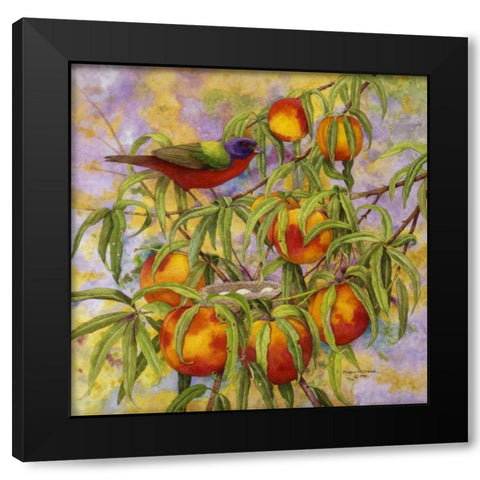 Painted Bunting and Peaches Black Modern Wood Framed Art Print with Double Matting by Matcham, Marcia