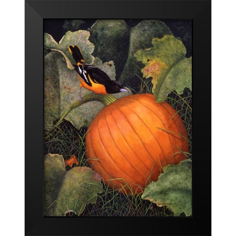 Oriole and Pumpkin Black Modern Wood Framed Art Print by Matcham, Marcia