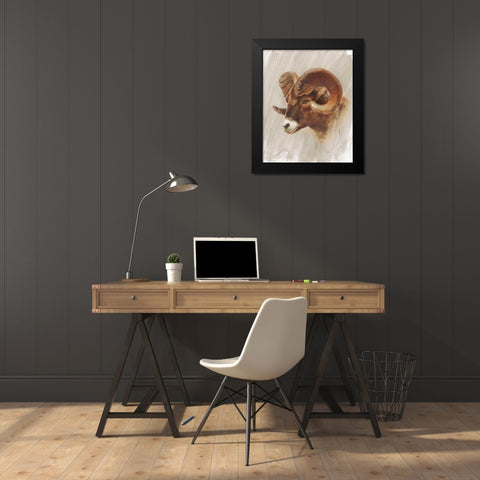 Western American Animal Study I Black Modern Wood Framed Art Print by Harper, Ethan