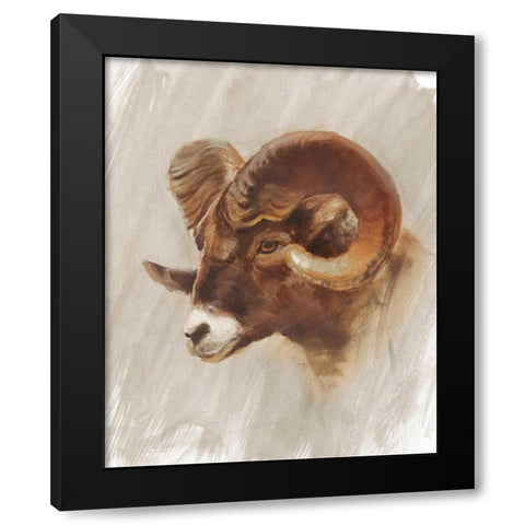 Western American Animal Study I Black Modern Wood Framed Art Print by Harper, Ethan