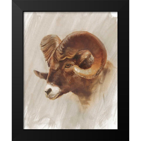 Western American Animal Study I Black Modern Wood Framed Art Print by Harper, Ethan