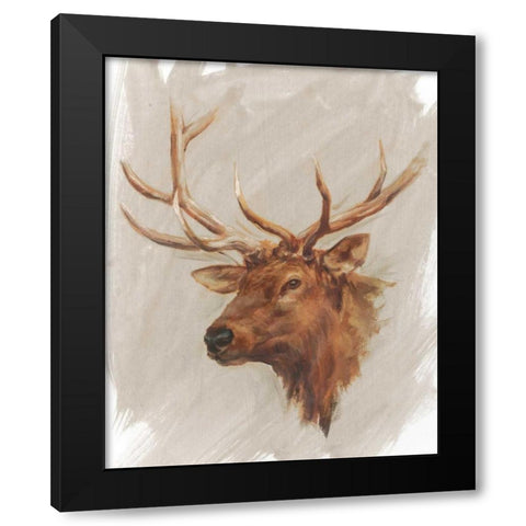 Western American Animal Study IV Black Modern Wood Framed Art Print with Double Matting by Harper, Ethan