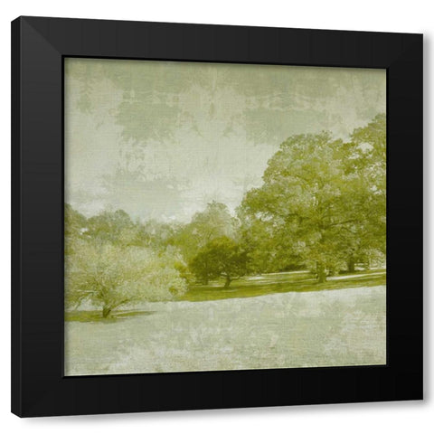 Beryl Landscape  I Black Modern Wood Framed Art Print with Double Matting by Zarris, Chariklia