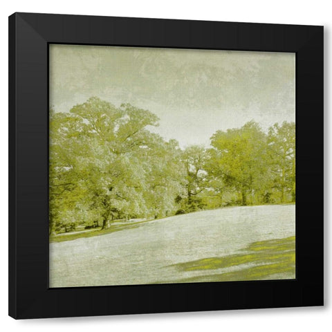 Beryl Landscape  II Black Modern Wood Framed Art Print with Double Matting by Zarris, Chariklia