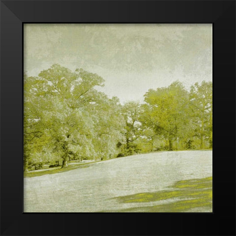 Beryl Landscape  II Black Modern Wood Framed Art Print by Zarris, Chariklia