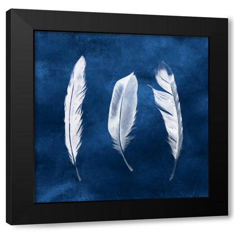 Cyanotype Feathers II Black Modern Wood Framed Art Print with Double Matting by Popp, Grace