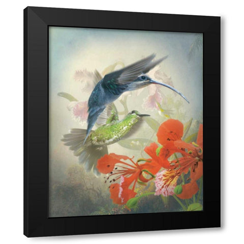 Hummingbird Cycle II Black Modern Wood Framed Art Print with Double Matting by Quintero, Sonja