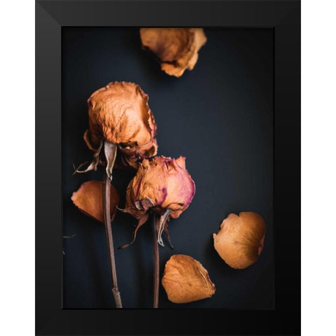 Wilted Dreams I Black Modern Wood Framed Art Print by Quintero, Sonja