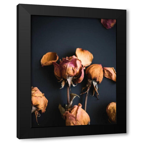 Wilted Dreams II Black Modern Wood Framed Art Print by Quintero, Sonja
