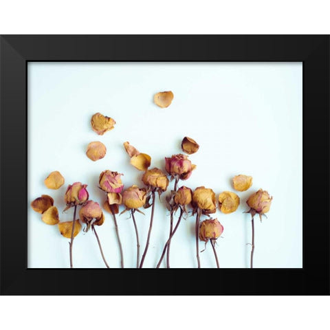 Golden Petals II Black Modern Wood Framed Art Print by Quintero, Sonja