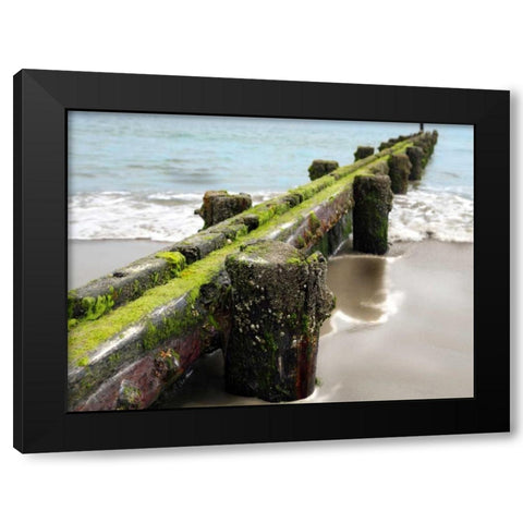 Scene Along the Water V Black Modern Wood Framed Art Print with Double Matting by Miamee, Golie