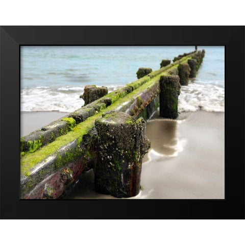 Scene Along the Water V Black Modern Wood Framed Art Print by Miamee, Golie