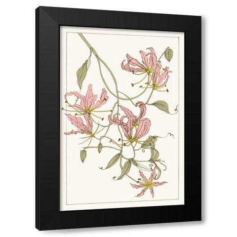 Botanical Gloriosa Lily II Black Modern Wood Framed Art Print with Double Matting by Wang, Melissa