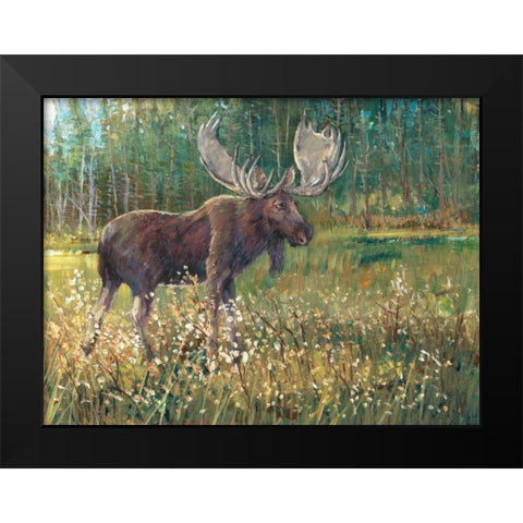 Moose in the Field Black Modern Wood Framed Art Print by OToole, Tim