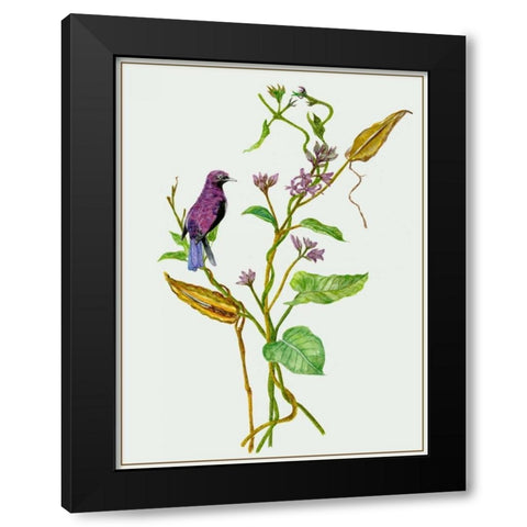 Metaplexis Japonica I Black Modern Wood Framed Art Print by Wang, Melissa