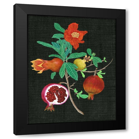 Pomegranate Study II Black Modern Wood Framed Art Print by Wang, Melissa