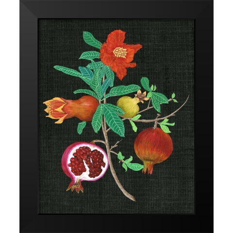 Pomegranate Study II Black Modern Wood Framed Art Print by Wang, Melissa