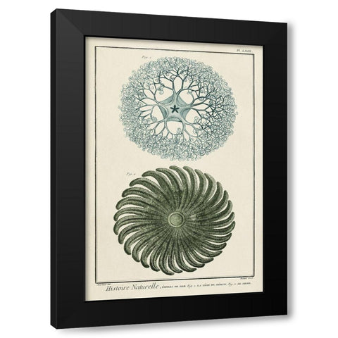 Custom Ocean Oddity I Black Modern Wood Framed Art Print by Vision Studio