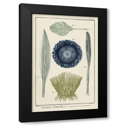 Custom Ocean Oddity II Black Modern Wood Framed Art Print by Vision Studio