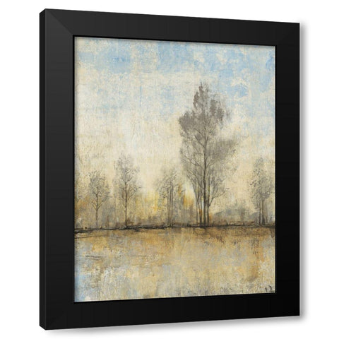 Custom Quiet Nature I Black Modern Wood Framed Art Print with Double Matting by OToole, Tim