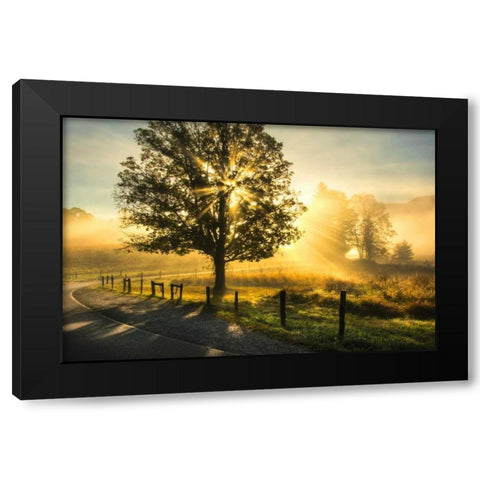 Wake Up Call Black Modern Wood Framed Art Print with Double Matting by Head, Danny