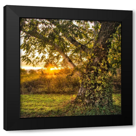 Calling It a Day Black Modern Wood Framed Art Print with Double Matting by Head, Danny