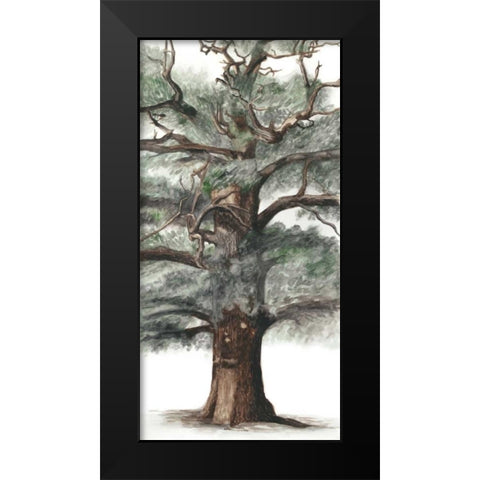 Oak Tree Composition I Black Modern Wood Framed Art Print by McCavitt, Naomi