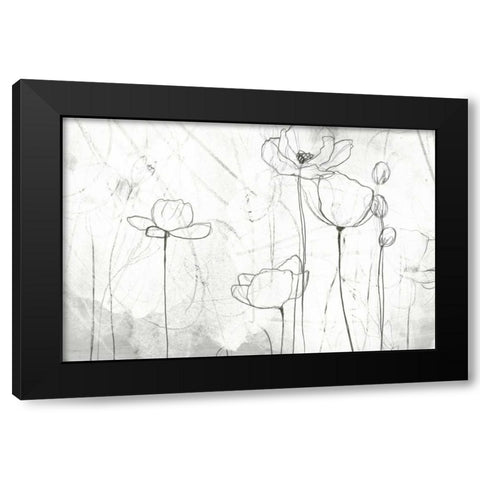 Poppy Sketches II Black Modern Wood Framed Art Print by Vess, June Erica