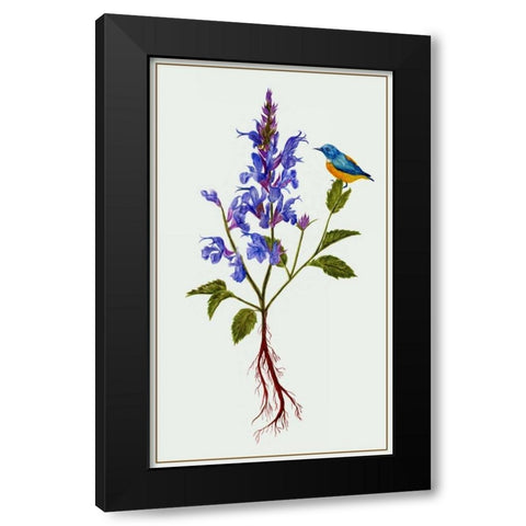 Salvia Miltiorrhiza I Black Modern Wood Framed Art Print with Double Matting by Wang, Melissa