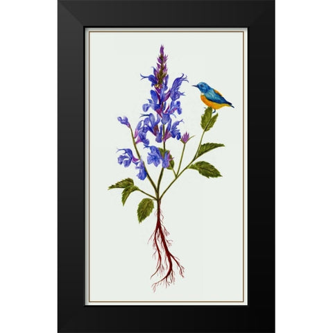 Salvia Miltiorrhiza I Black Modern Wood Framed Art Print by Wang, Melissa