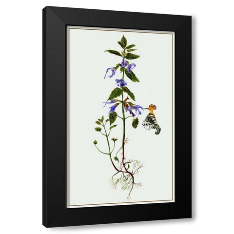 Salvia Miltiorrhiza II Black Modern Wood Framed Art Print with Double Matting by Wang, Melissa