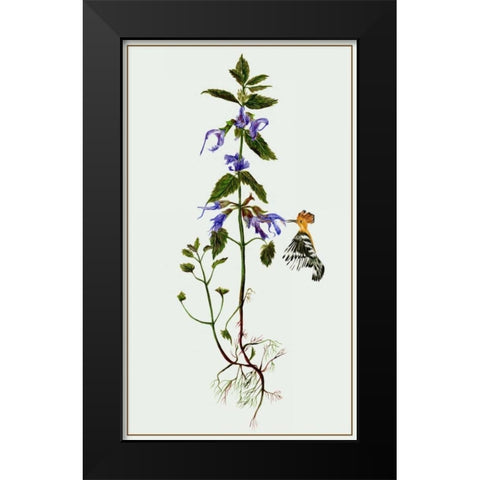 Salvia Miltiorrhiza II Black Modern Wood Framed Art Print by Wang, Melissa