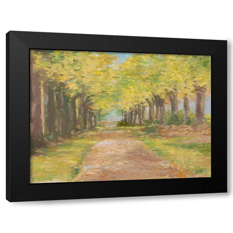 Fall Path III Black Modern Wood Framed Art Print by Harper, Ethan