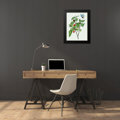 Cape Gooseberry I Black Modern Wood Framed Art Print by Wang, Melissa