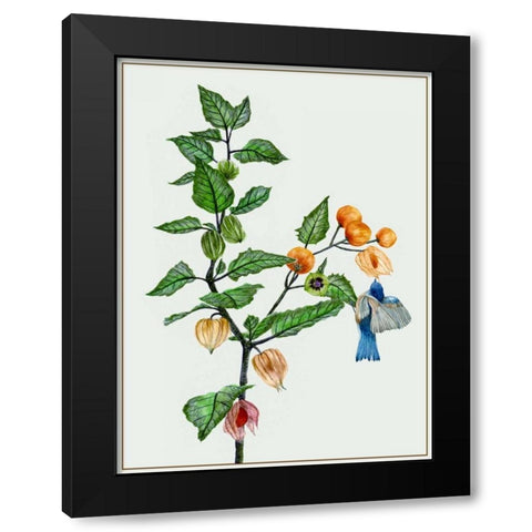 Cape Gooseberry II Black Modern Wood Framed Art Print with Double Matting by Wang, Melissa