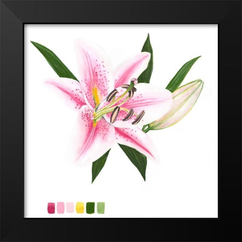 Brighton Blooms II Black Modern Wood Framed Art Print by McCavitt, Naomi