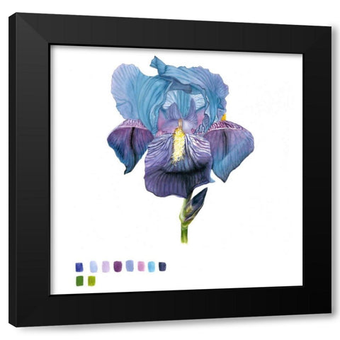 Brighton Blooms IV Black Modern Wood Framed Art Print by McCavitt, Naomi