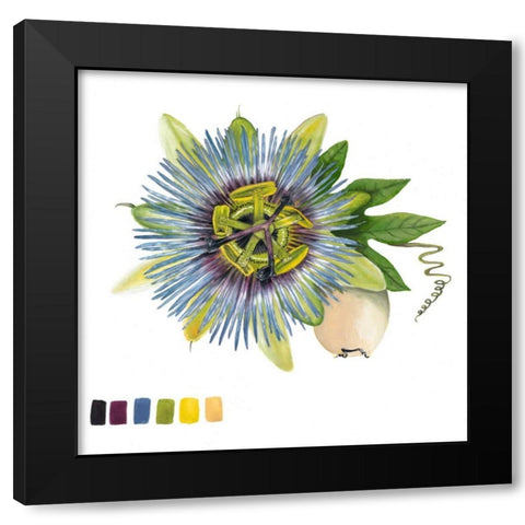 Brighton Blooms VI Black Modern Wood Framed Art Print by McCavitt, Naomi