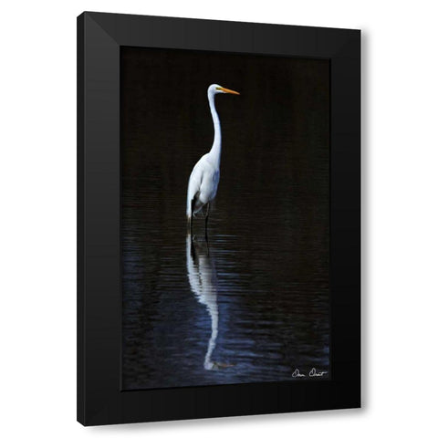 Elegant Egret II Black Modern Wood Framed Art Print by Drost, David