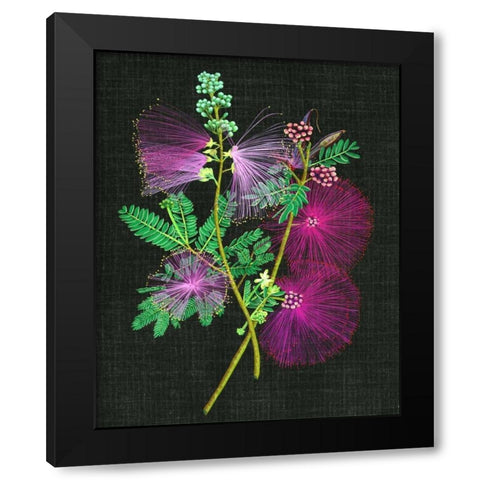 Calliandra Surinamensis I Black Modern Wood Framed Art Print by Wang, Melissa