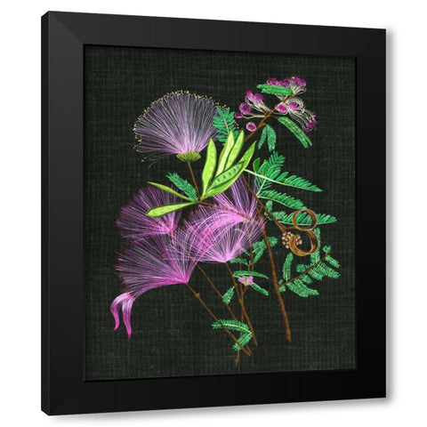 Calliandra Surinamensis II Black Modern Wood Framed Art Print with Double Matting by Wang, Melissa