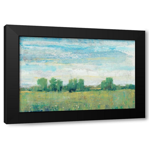 Splendor in Spring I Black Modern Wood Framed Art Print by OToole, Tim