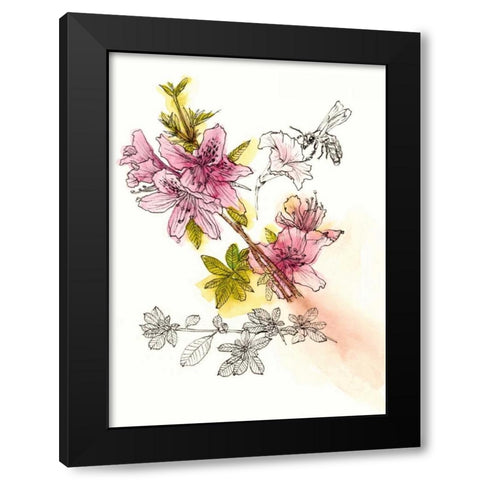 Floral Field Notes I Black Modern Wood Framed Art Print with Double Matting by Wang, Melissa