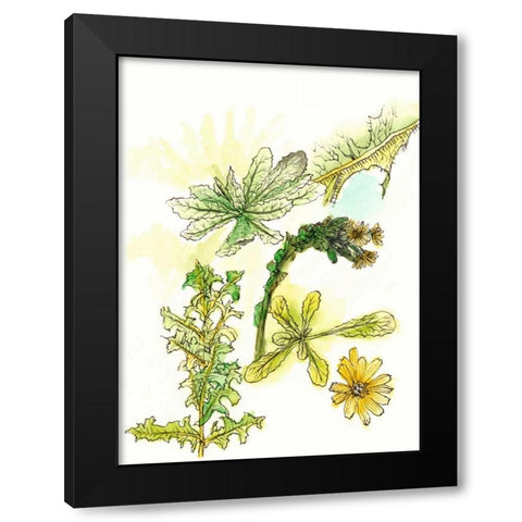 Floral Field Notes V Black Modern Wood Framed Art Print with Double Matting by Wang, Melissa
