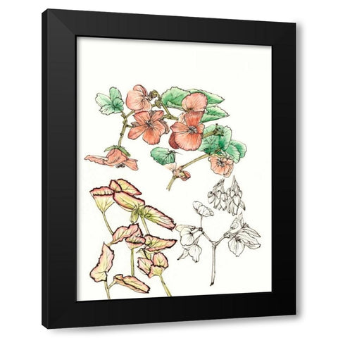 Begonia Study Black Modern Wood Framed Art Print by Wang, Melissa